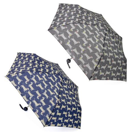 umbrella